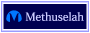Methuselah(メスーゼラ)